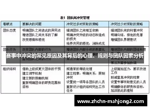 赛事中冲突的常见原因及其背后的心理、规则与团队因素分析